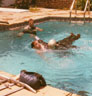 Pool Scene: Clay (Brendan Fraser) and Whale (Ian McKellen)