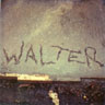 Walters name scratched into wet cement (Polaroid)
