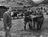 Gregory Peck with his young team of aircraftsmen planning to carry Allied aeroplane parts through occupied territory where they would be reassembled in order to bomb enemy targets.
<BR><BR><I>Peck kept himself privately in his caravan between shots, where he read and answered his mail.  He told me about his early days in theatre, where he had been happy just to sweep the stage.  He was now a huge movie star.  In our film he was not well-cast as an English army Colonel � he repeatedly addressed me as Loo-tenant: and when I repeatedly corrected his pronunciation (in UK we say Left-tenant), the director David Miller told me to shut up. Never forget Ian, Great Britain is only 5% of the world market.</I>