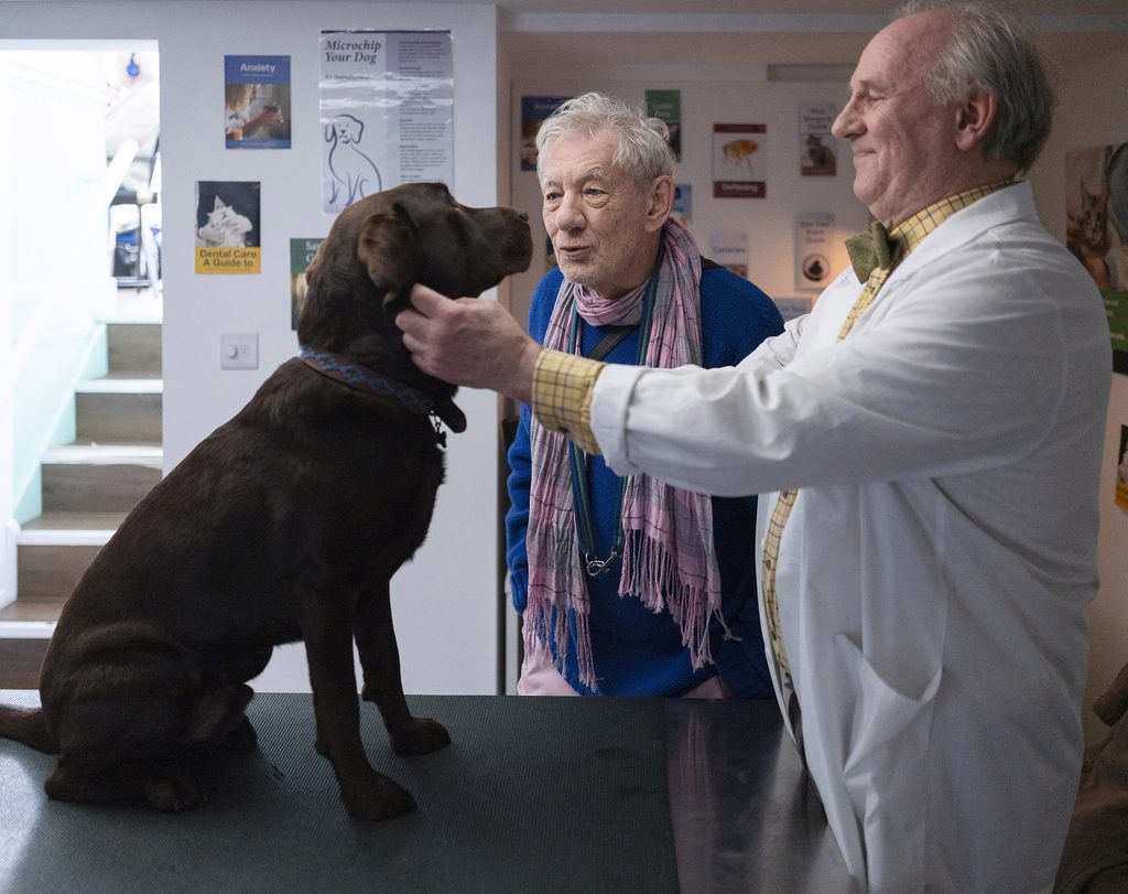 Ian McKellen and Peter Davison in FRANK AND PERCY.